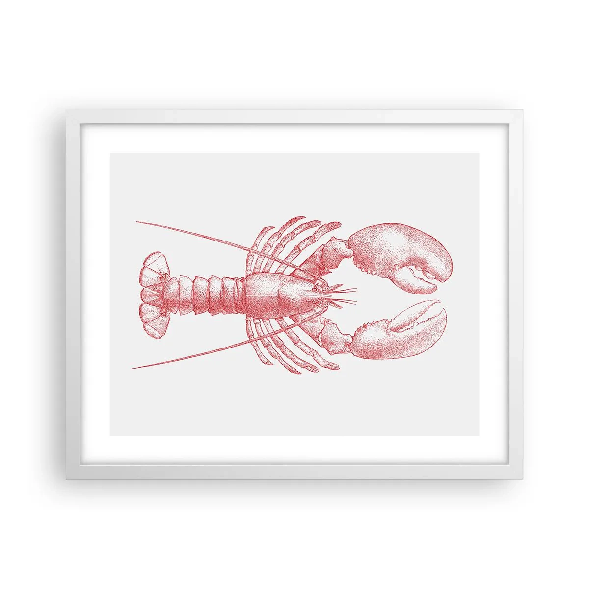 Poster in cornice bianca - Aragosta d'agosto - 50x40 cm