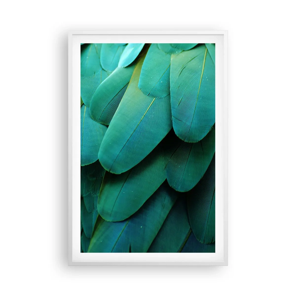 Poster in cornice bianca - Precisione da pappagallo - 61x91 cm