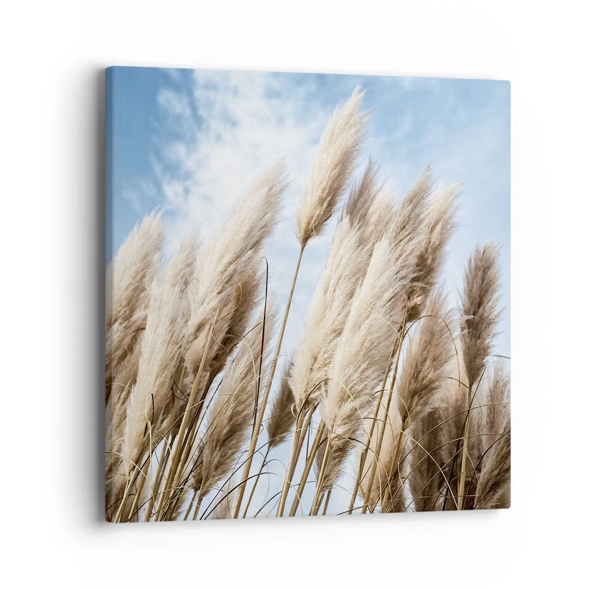 Quadro su tela - Stampe su Tela - Le carezze del sole e del vento - 40x40 cm