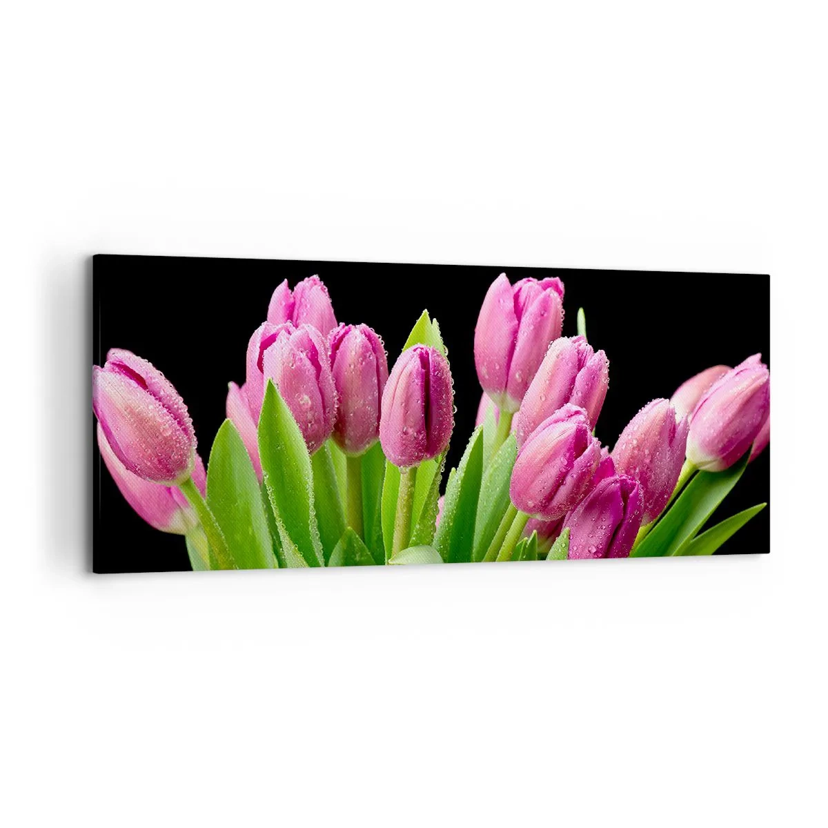 Quadro su tela - Stampe su Tela - Tulipani rosa con gocce di rugiada su sfondo nero - 120x50cm - Gioia lilla della primavera - Decorazione murale moderna per soggiorno e camera da letto ARTTOR