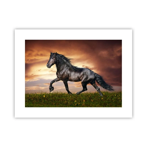 Poster - Il principe nero - 40x30 cm