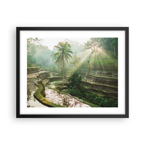 Poster in cornice nera - Crescere al sole - 50x40 cm
