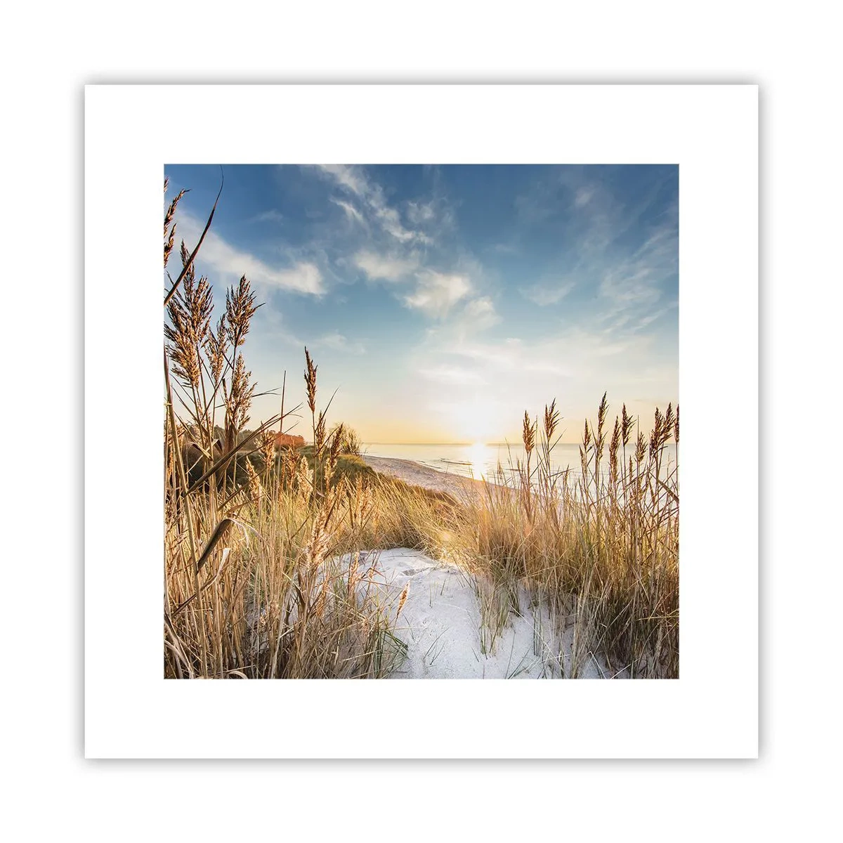 Poster - Spiaggia del nord - 30x30 cm