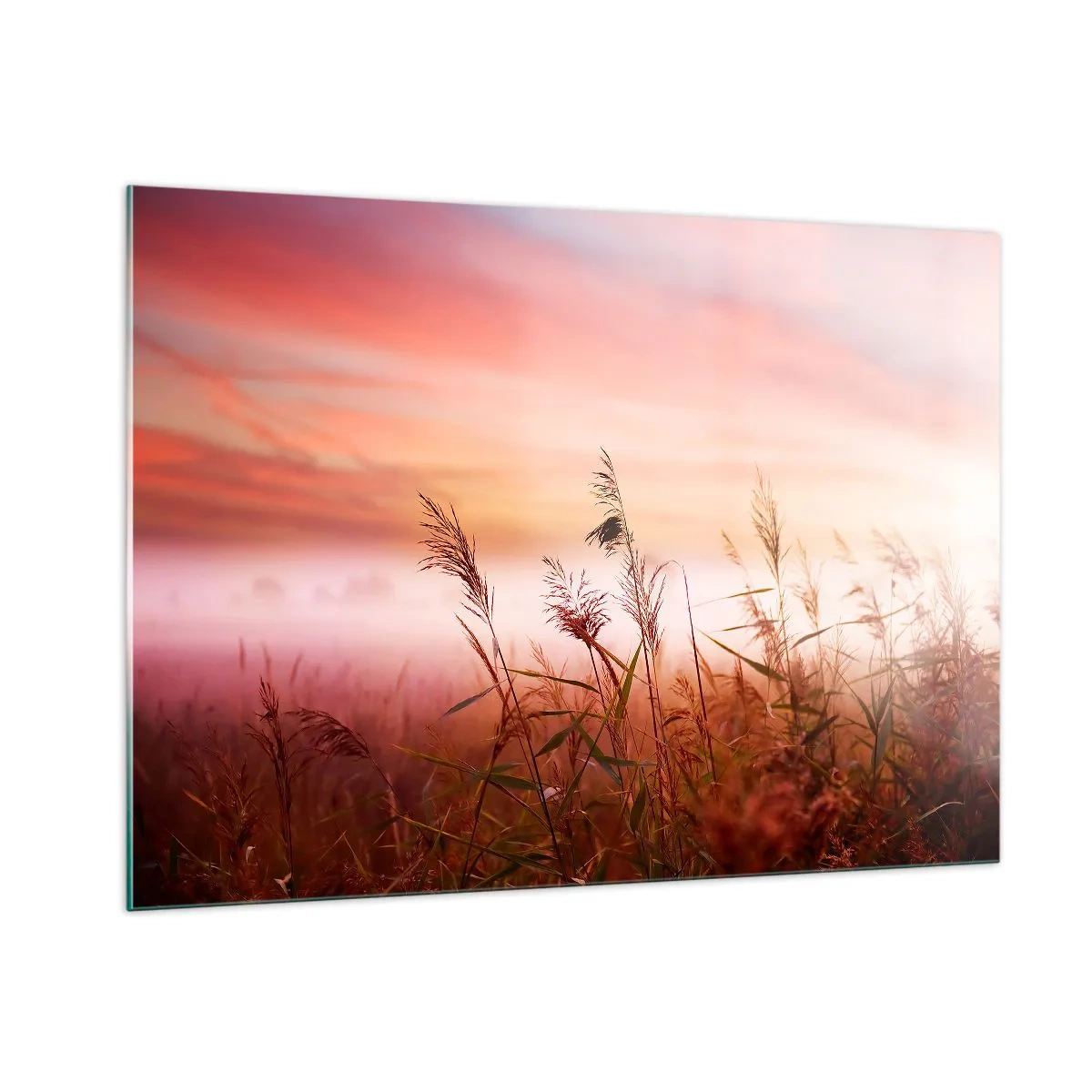 Quadro su vetro - Un prato nella nebbia mattutina con un cielo pastello - 100x70cm - Aquiloni, denti di leone, vento - Decorazione murale moderna per soggiorno e camera da letto ARTTOR