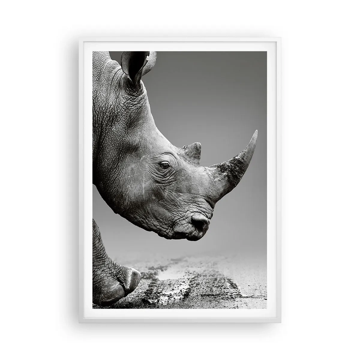 Poster in cornice bianca - Forza irrefrenabile - 70x100 cm