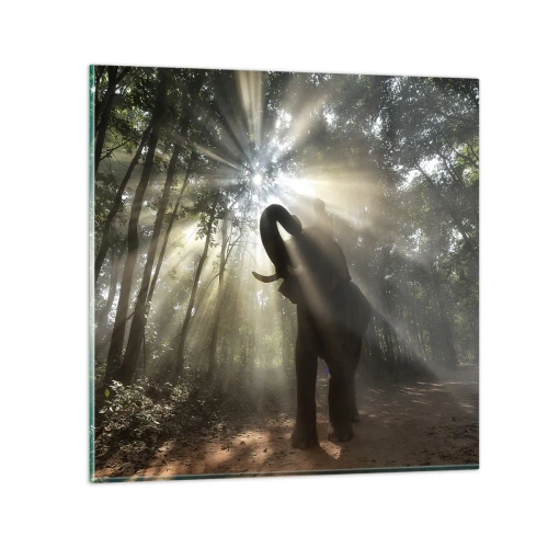 Quadro su vetro - Sotto una stella fortunata - 70x70 cm