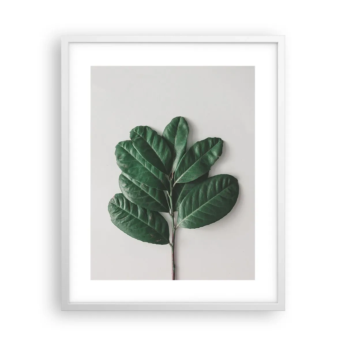 Poster in cornice bianca - Il disegno della natura stessa - 40x50 cm