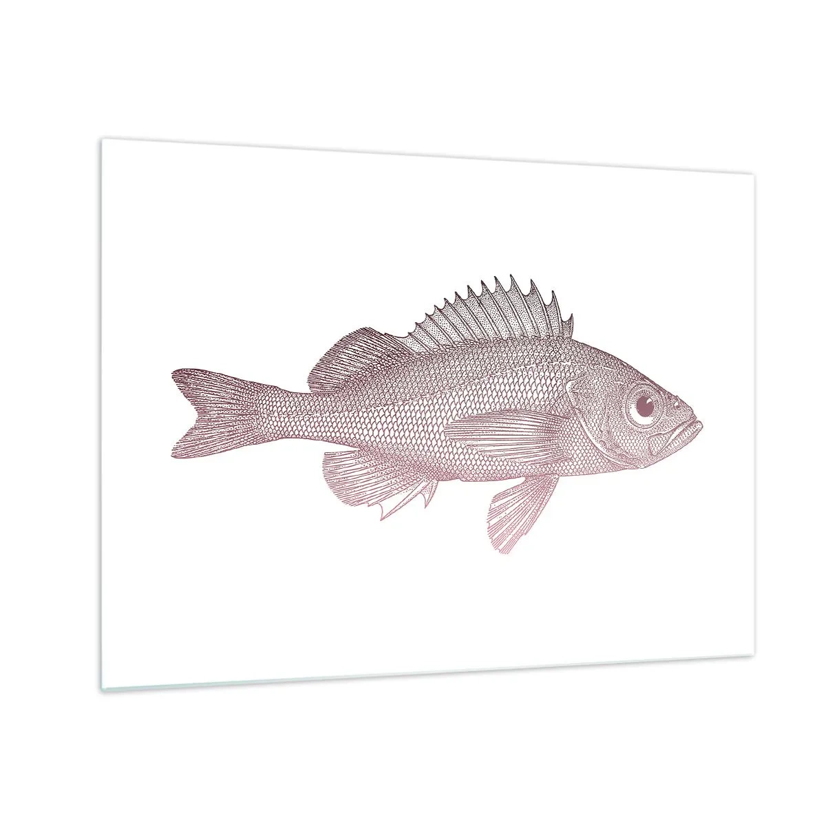 Quadro su vetro - Grafica di un pesce con un grande occhio in stile retrò su sfondo bianco - 70x50cm - Il pesce dagli occhi enormi - Decorazione murale moderna per soggiorno e camera da letto ARTTOR