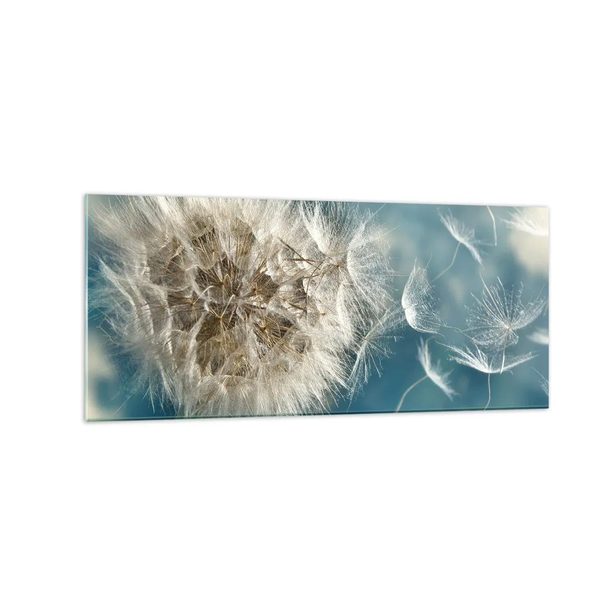Quadro su vetro - Un dente di leone soffiato contro un cielo blu - 120x50cm - Il respiro dell'angelo - Decorazione murale moderna per soggiorno e camera da letto ARTTOR