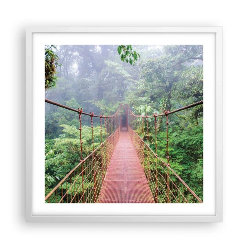 Poster in cornice bianca - Sospeso sopra gli alberi - 50x50 cm