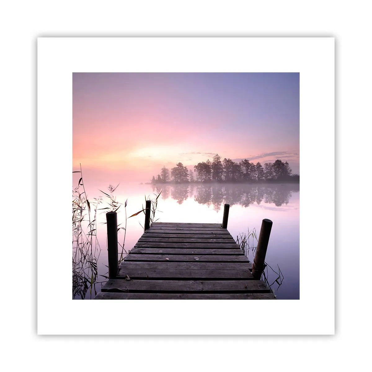 Poster - Nebbia color lilla - 30x30 cm