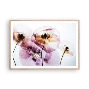 Poster in cornice rovere chiaro - Fiori trasparenti - 100x70 cm