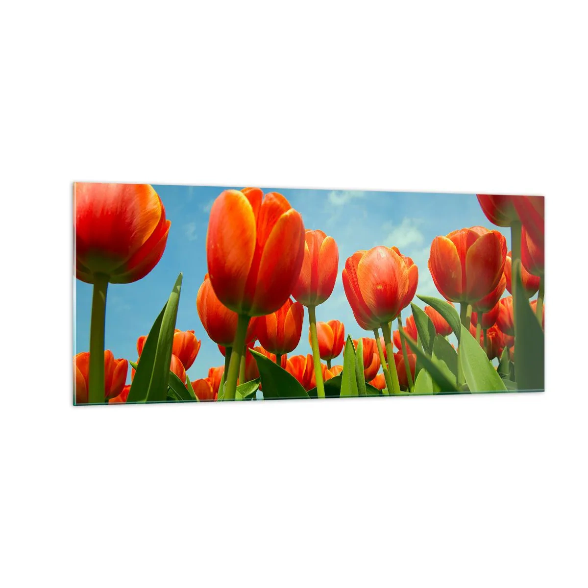 Quadro su vetro - A loro non serve nulla oltre al cielo azzurro - 100x40 cm