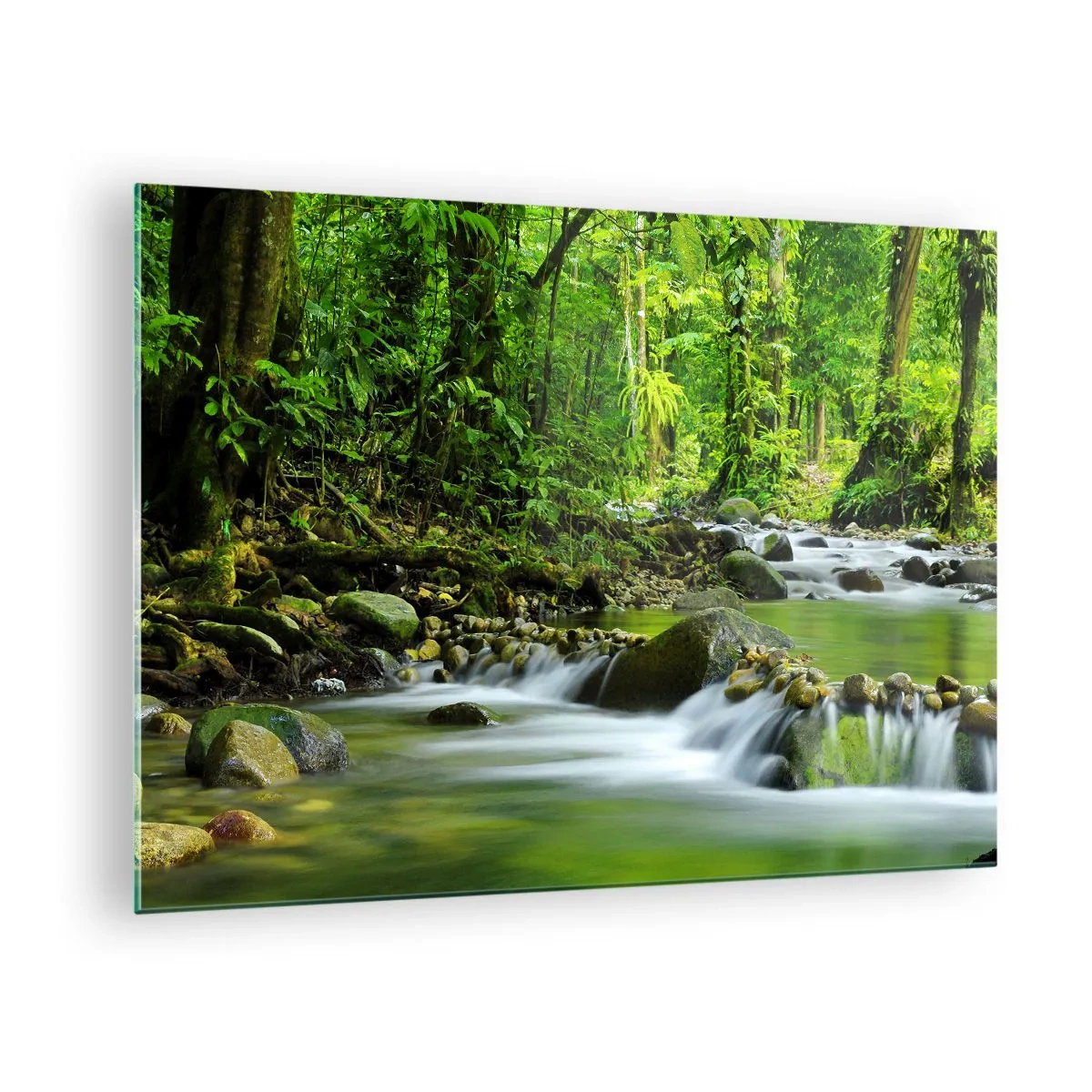 Quadro su vetro - Un ruscello nella foresta circondato da una vegetazione lussureggiante - 70x50cm - Fluttuando in un mare di verde - Decorazione murale moderna per soggiorno e camera da letto ARTTOR