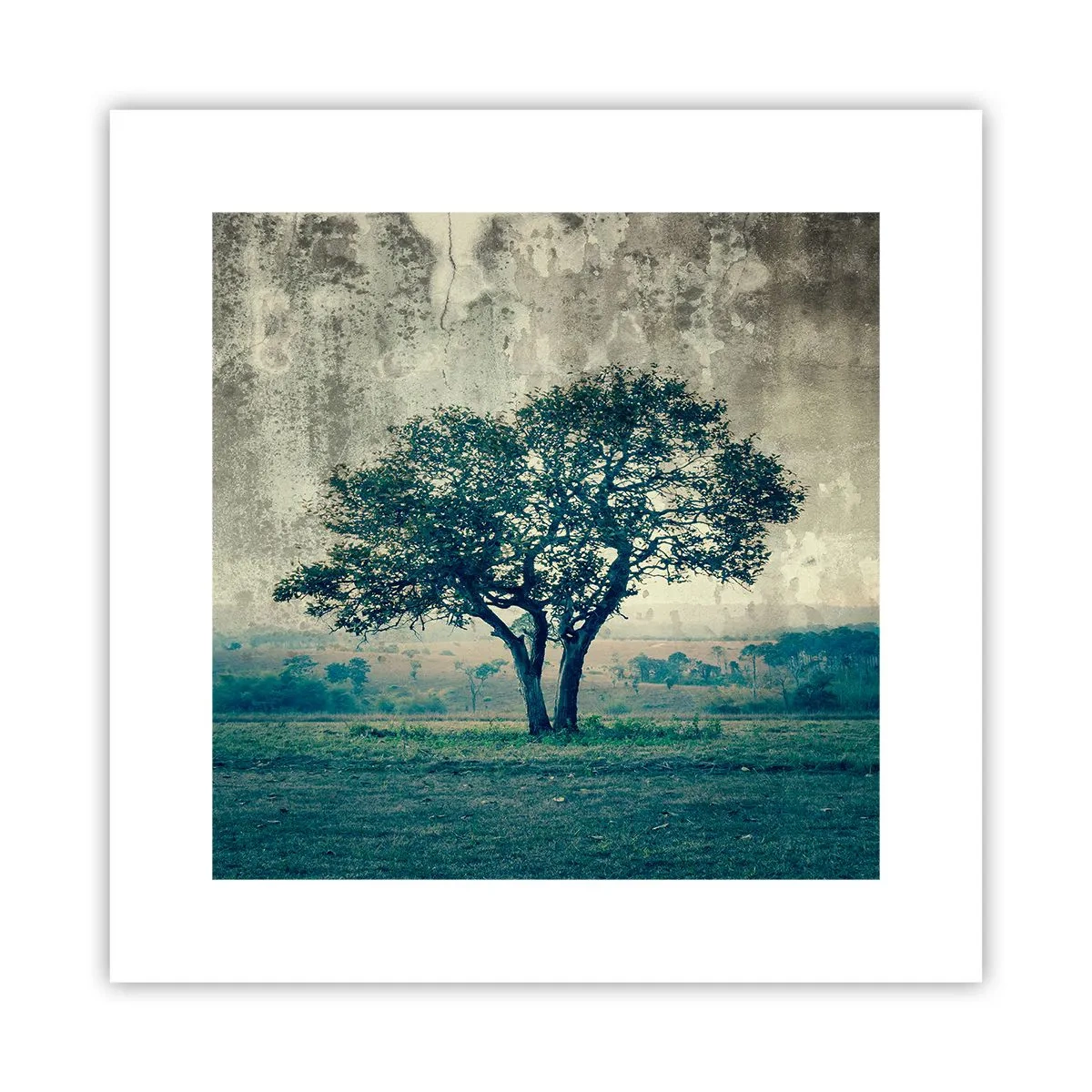 Poster - Un melo su un prato blu? - 30x30 cm