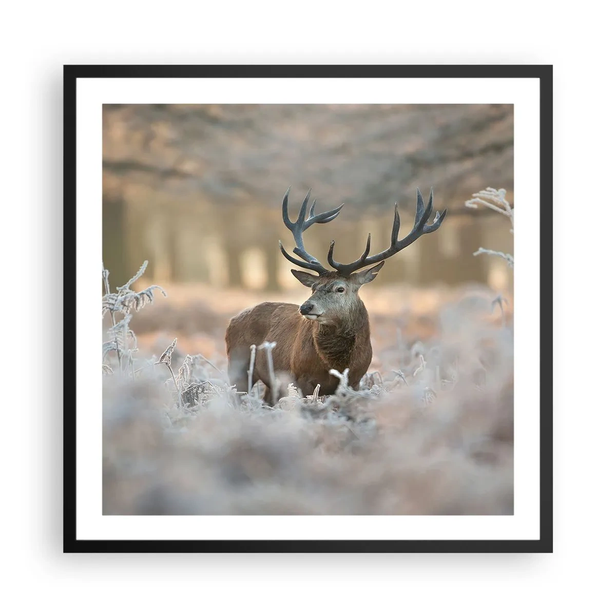 Poster in cornice nera - Fresco mattino - 60x60 cm