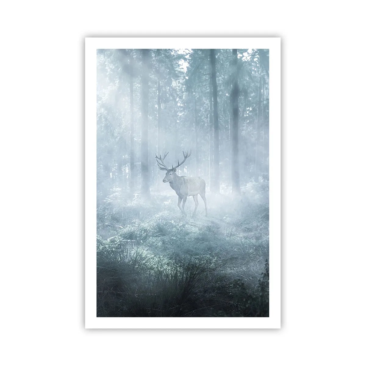 Poster - Passeggiata mattutina sulle sue terre - 61x91 cm