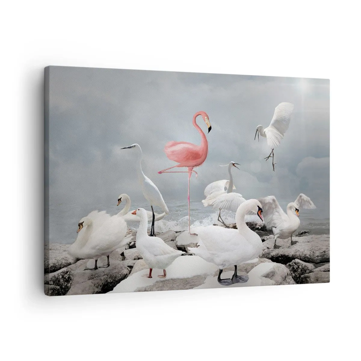 Quadro su tela - Stampe su Tela - Un fenicottero rosa tra cigni bianchi sullo sfondo di un lago - 70x50cm - Come sono arrivato qui? - Decorazione murale moderna per soggiorno e camera da letto ARTTOR