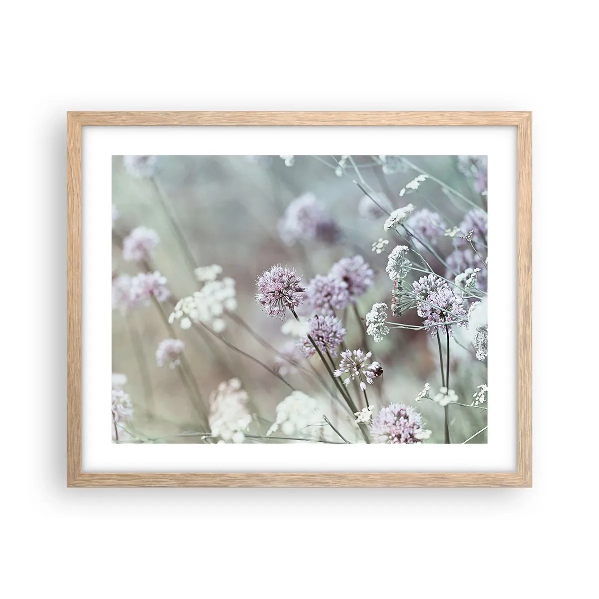 Poster in cornice rovere chiaro - Le dolci filigrane delle erbe - 50x40 cm