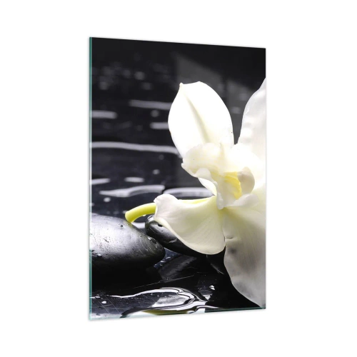 Quadro su vetro - Orchidea bianca su pietre nere bagnate - 50x70cm - Studio in bianco e nero - Decorazione murale moderna per soggiorno e camera da letto ARTTOR