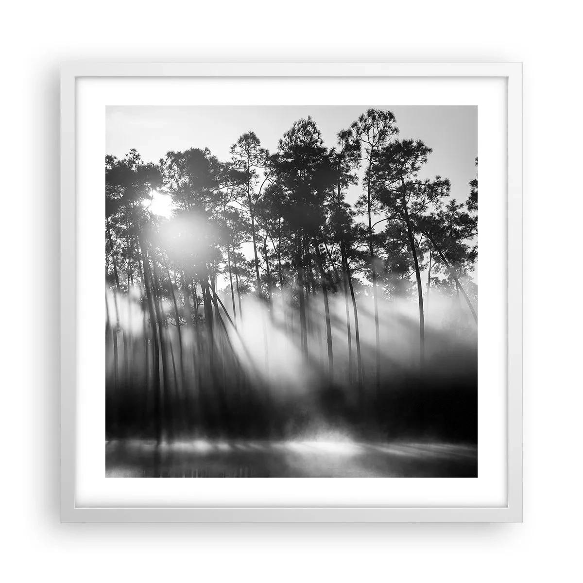 Poster in cornice bianca - Sole irrefrenabile - 50x50 cm