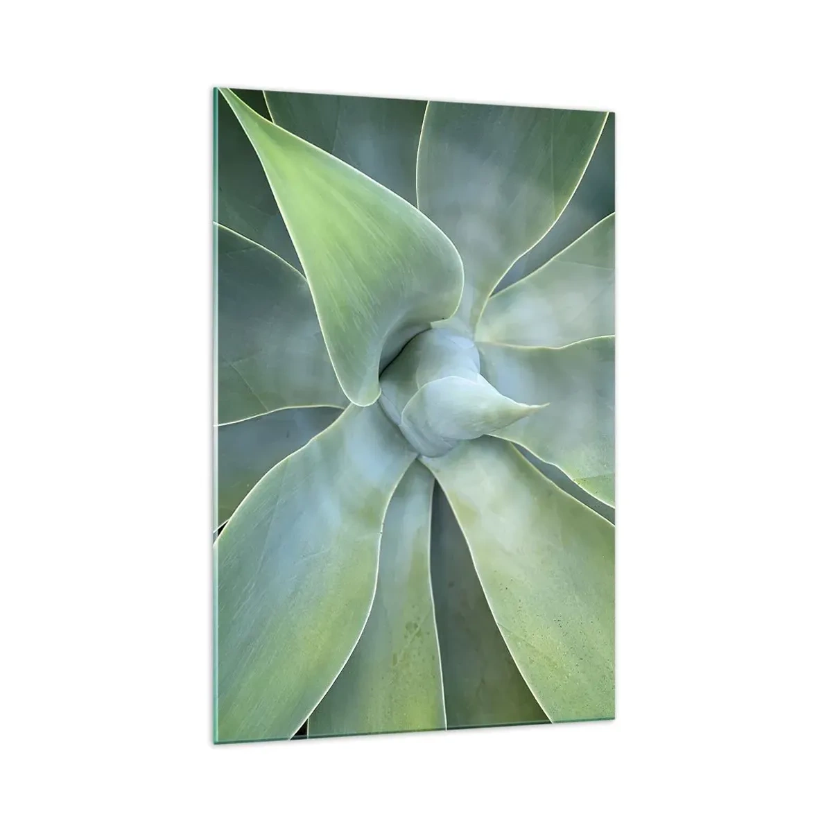 Quadro su vetro - Foglie di agave delicate in tonalità di verde - 70x100cm - La nascita del verde - Decorazione murale moderna per soggiorno e camera da letto ARTTOR