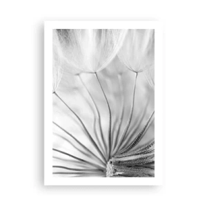 Poster - Macrofotografia in bianco e nero di un dente di leone con dettagli sottili - 50x70cm - Denti di leone, aquiloni - Decorazione murale moderna per soggiorno e camera da letto ARTTOR