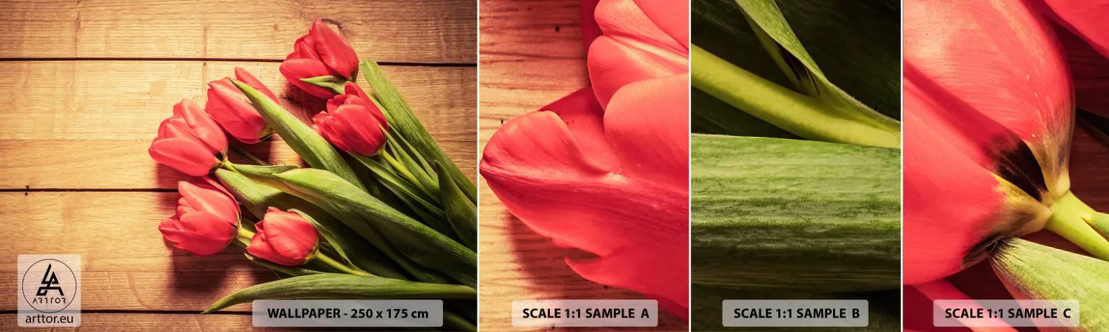 Campione Di Fotomurale Standard Eco - Confessione primaverile - Fiori, Tulipani, Mazzo di fiori - 100x30 cm