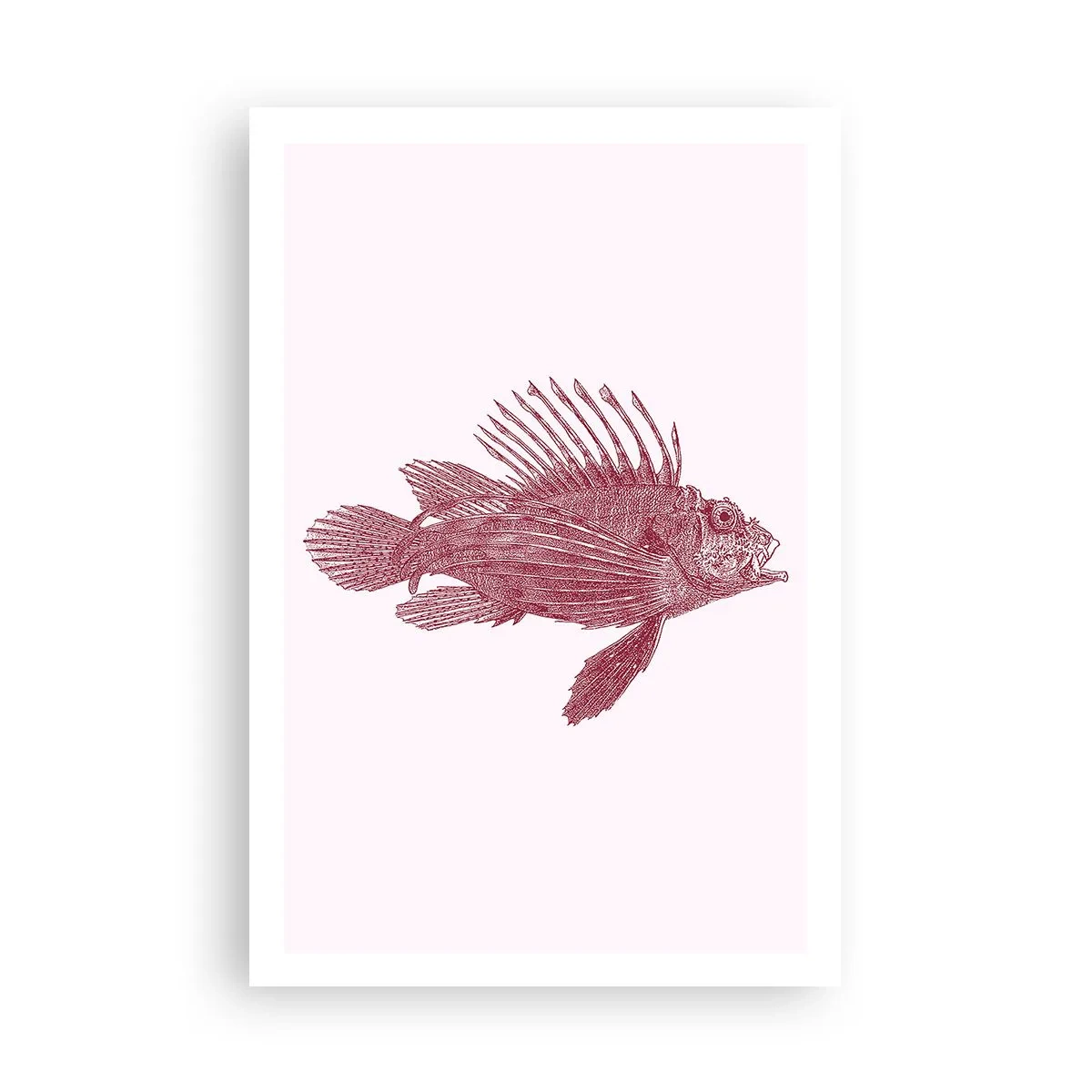 Poster - Abitante di mari esotici - 61x91 cm