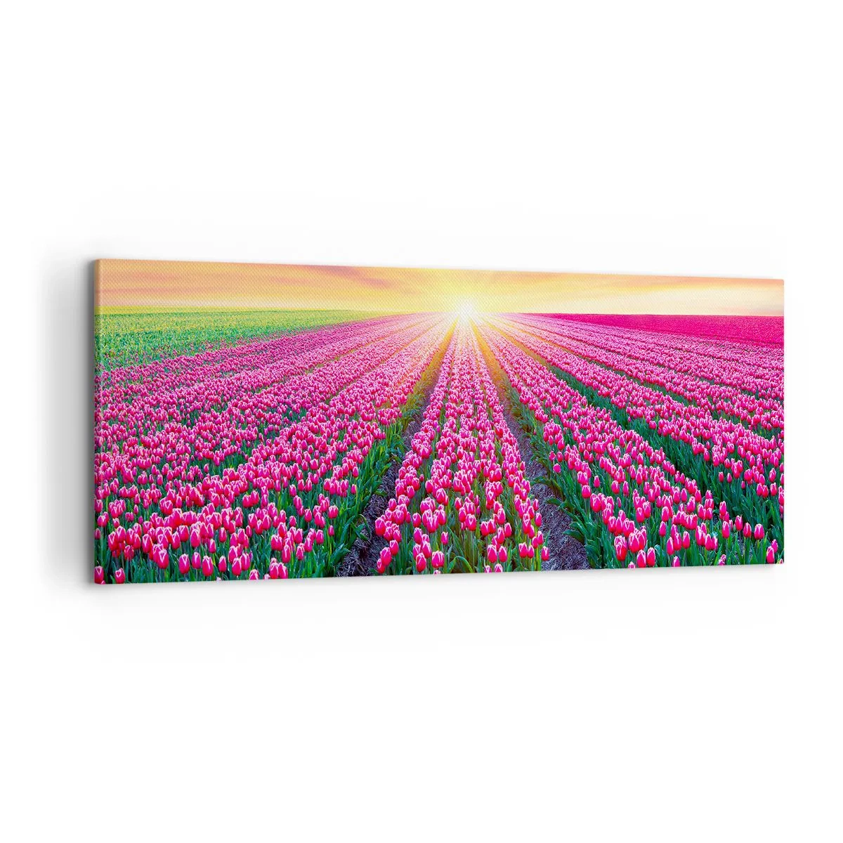 Quadro su tela - Stampe su Tela - La fattoria della bellezza - 100x40 cm