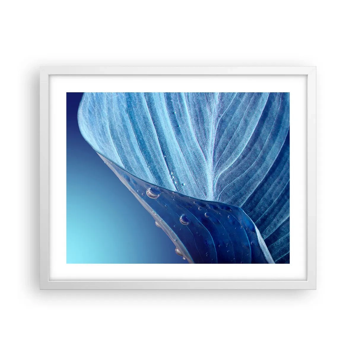 Poster in cornice bianca - Gocce di blu nascoste - 50x40 cm