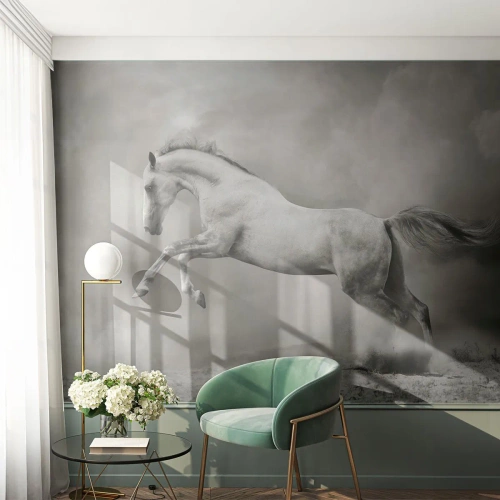 Fotomurale su misura Premium Canvas - Tra la veglia e il sonno, - Animali, Cavallo, Natura