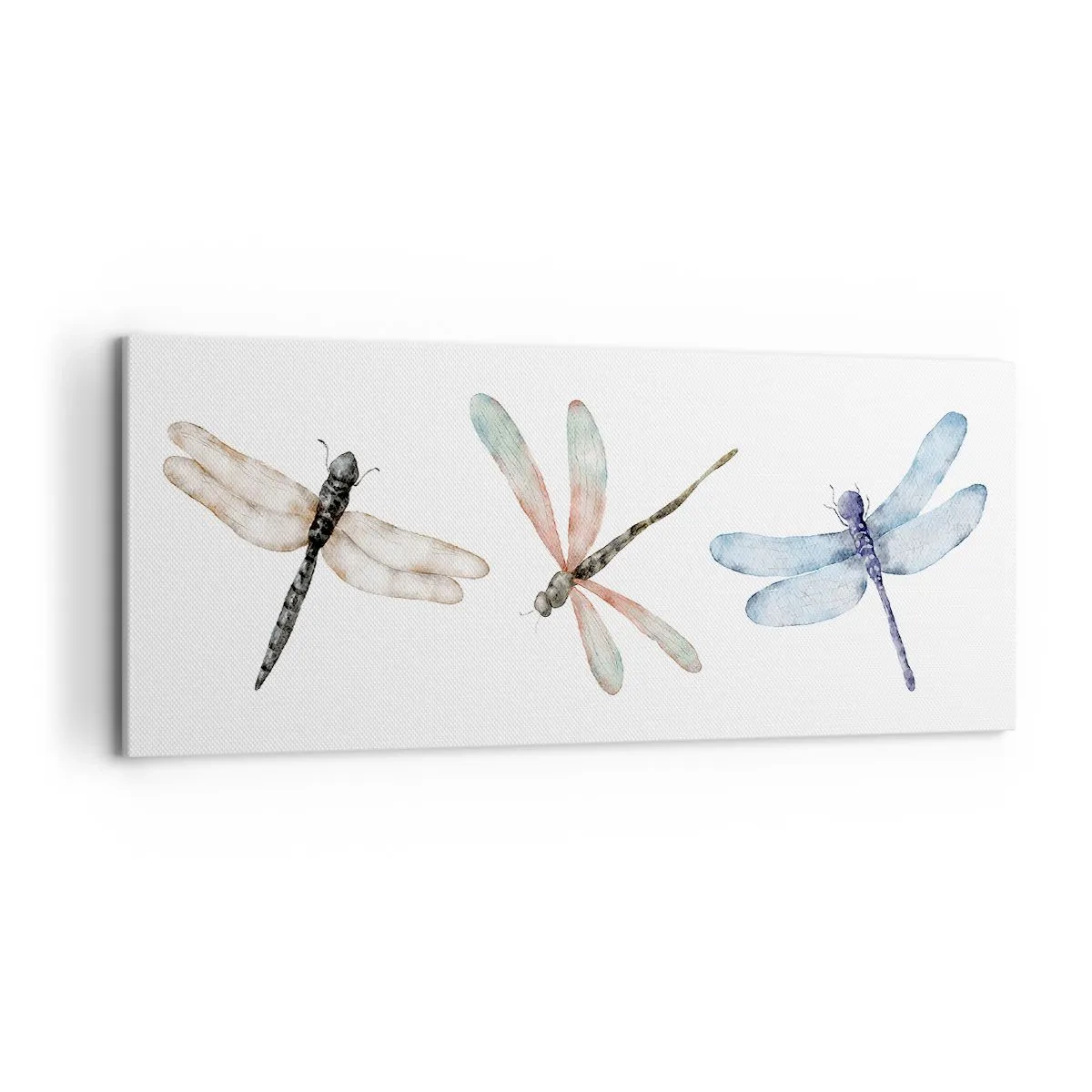 Quadro su tela - Stampe su Tela - Tre libellule dai delicati colori pastello - 120x50cm - Libellule senza peso - Decorazione murale moderna per soggiorno e camera da letto ARTTOR