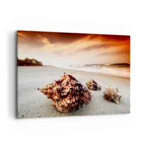 Quadro su tela - Stampe su Tela - Conchiglie sulla spiaggia al tramonto - 120x80cm - Esiliate dalle onde - Decorazione murale moderna per soggiorno e camera da letto ARTTOR