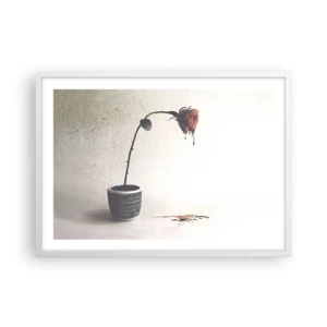 Poster in cornice bianca - Rosa dolorosa - 70x50 cm