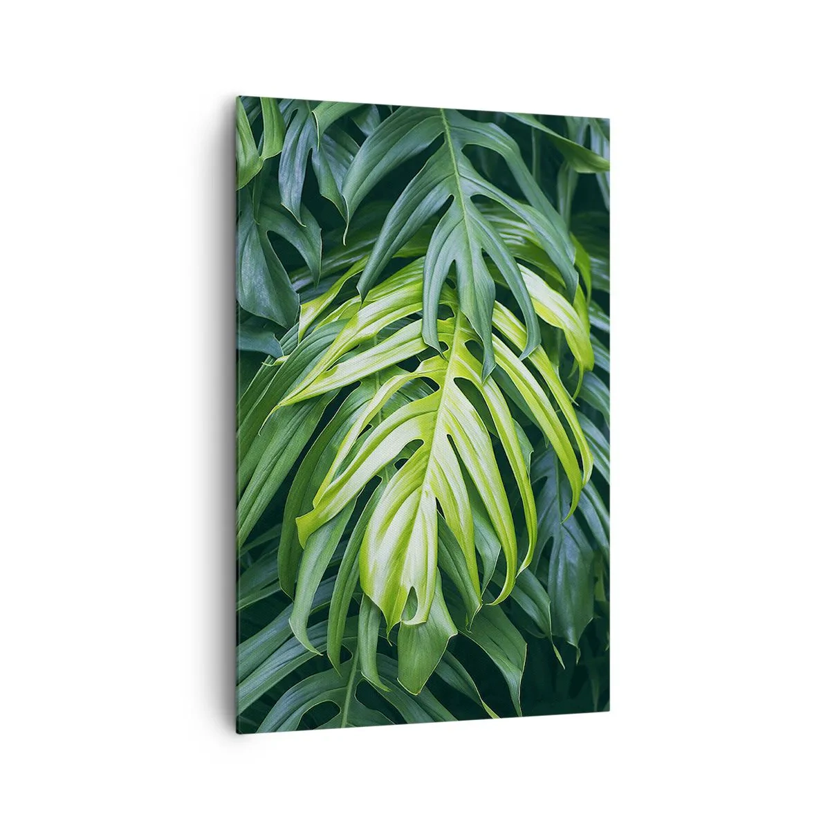 Quadro su tela - Stampe su Tela - Foglie verdi in una fitta disposizione tropicale - 80x120cm - Immergersi nella freschezza - Decorazione murale moderna per soggiorno e camera da letto ARTTOR