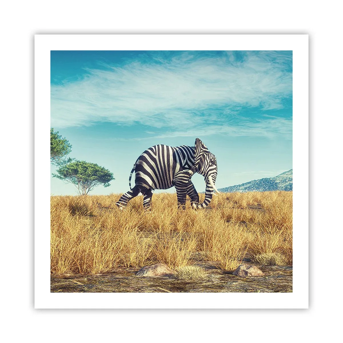 Poster - Il grigio non è più di moda - 60x60 cm