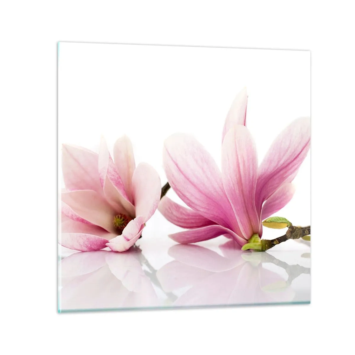 Quadro su vetro - Delicati come un soffio di primavera - 60x60 cm