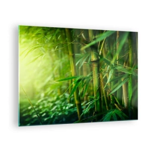 Quadro su vetro - Foresta di bambù verde al sole - 70x50cm - Conoscere il verde in sé - Decorazione murale moderna per soggiorno e camera da letto ARTTOR