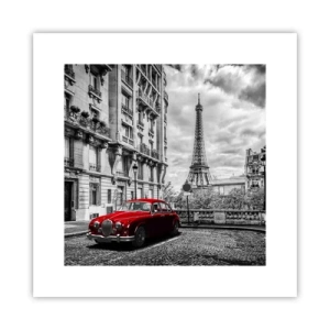 Poster - Predatore in città - 30x30 cm