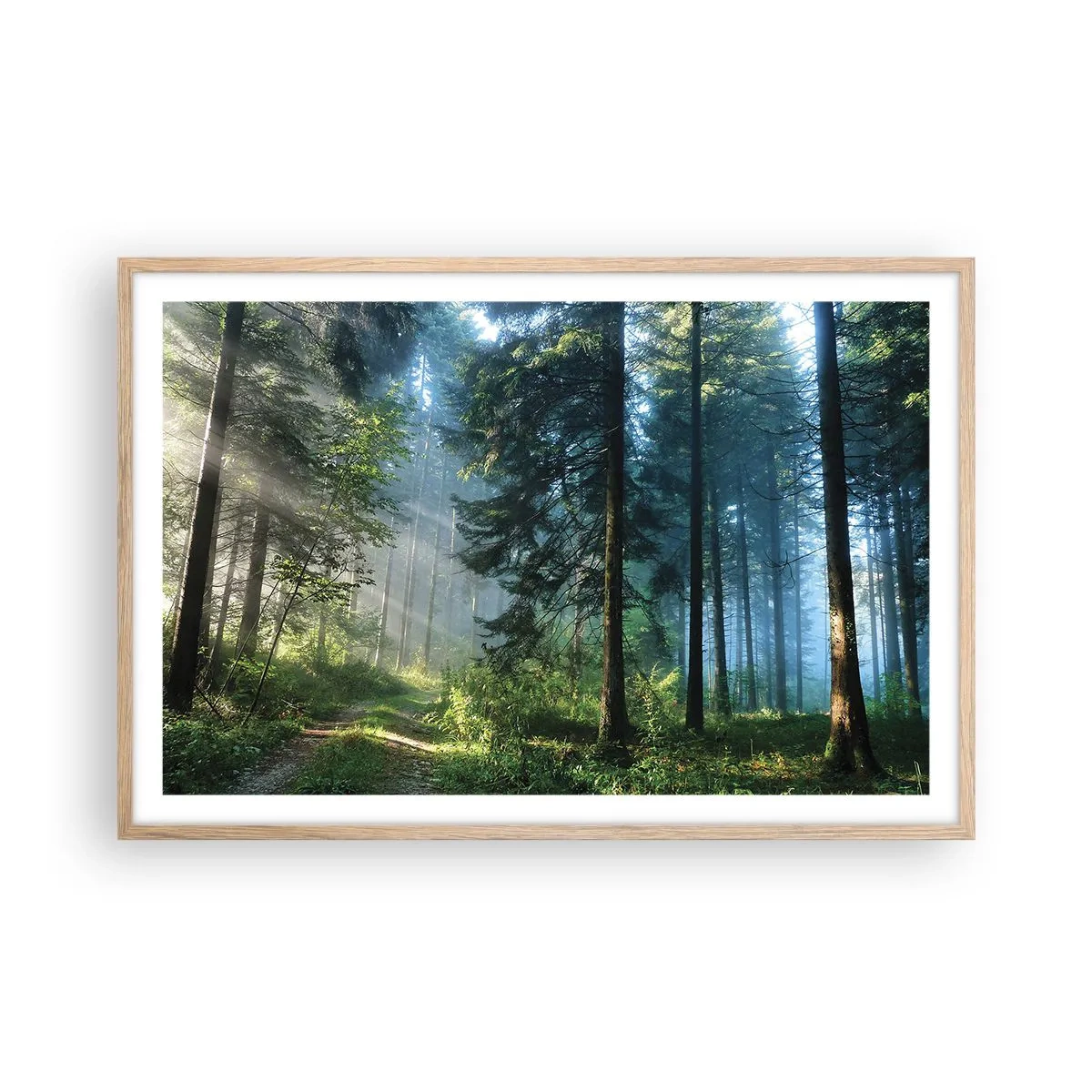 Poster in cornice rovere chiaro - Raggiante all'alba - 91x61 cm