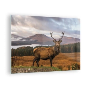 Quadro su vetro - Cervi sullo sfondo di pittoresche montagne e foreste - 70x50cm - Maestà della natura - Decorazione murale moderna per soggiorno e camera da letto ARTTOR