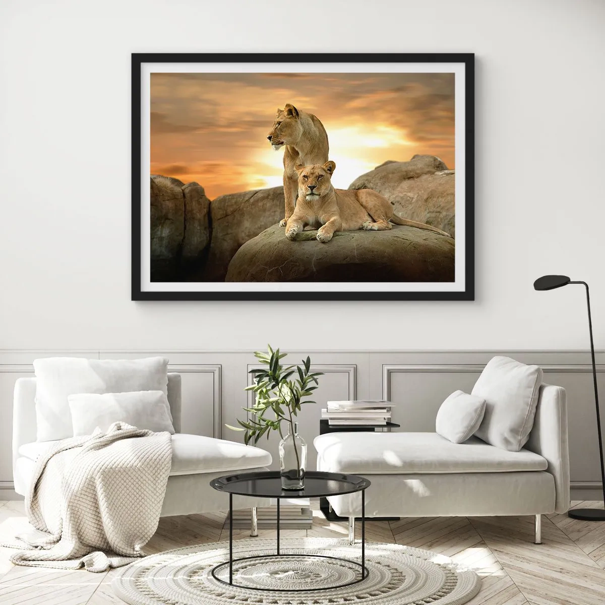 Poster in cornice nera - Due leonesse riposano su una roccia durante il tramonto - 100x70cm - Maestà reale - Decorazione murale moderna per soggiorno e camera da letto ARTTOR