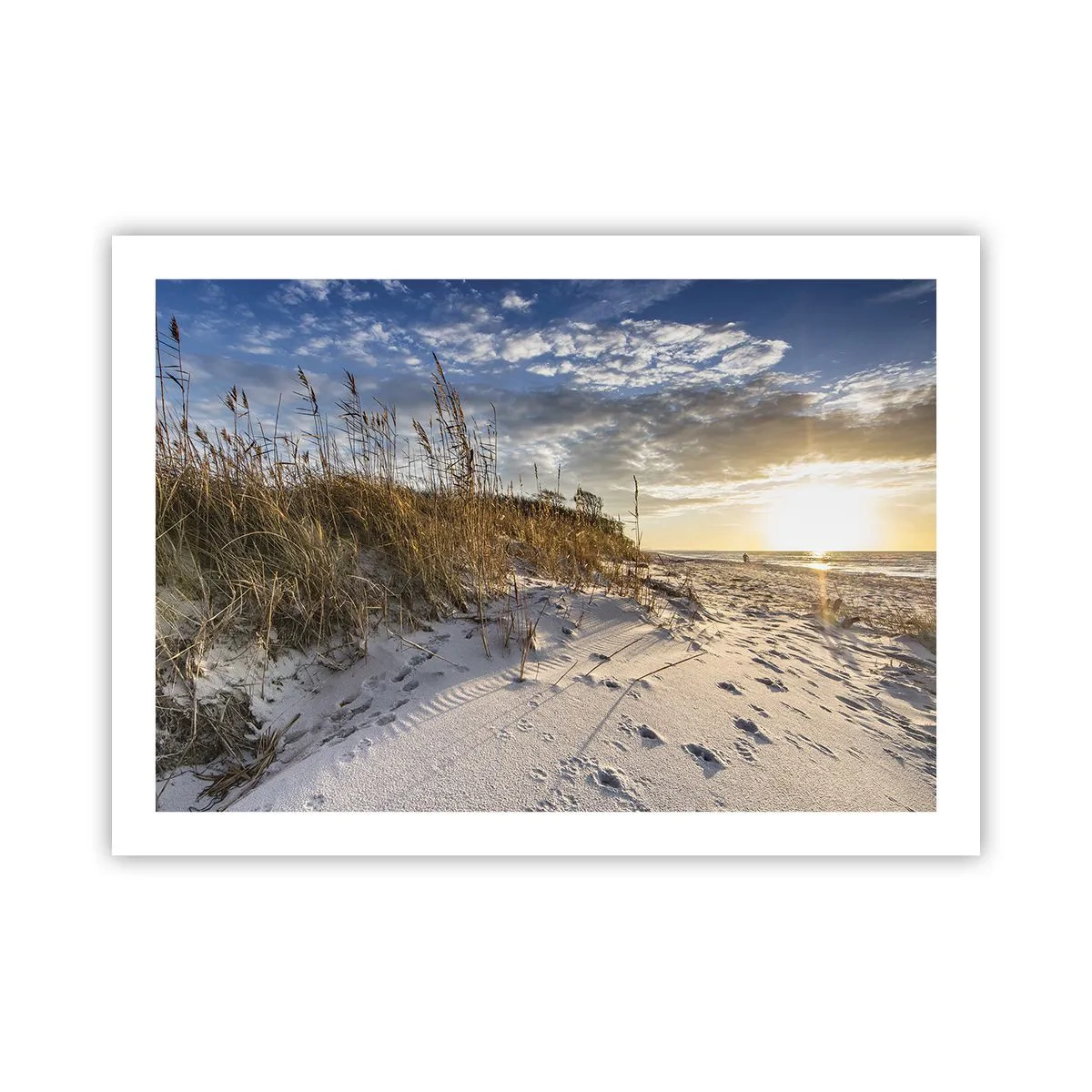 Poster - Invito a passeggiare - 70x50 cm