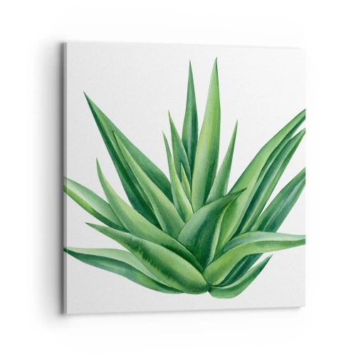 Quadro su tela - Stampe su Tela - Verde - forza - vita - 70x70 cm