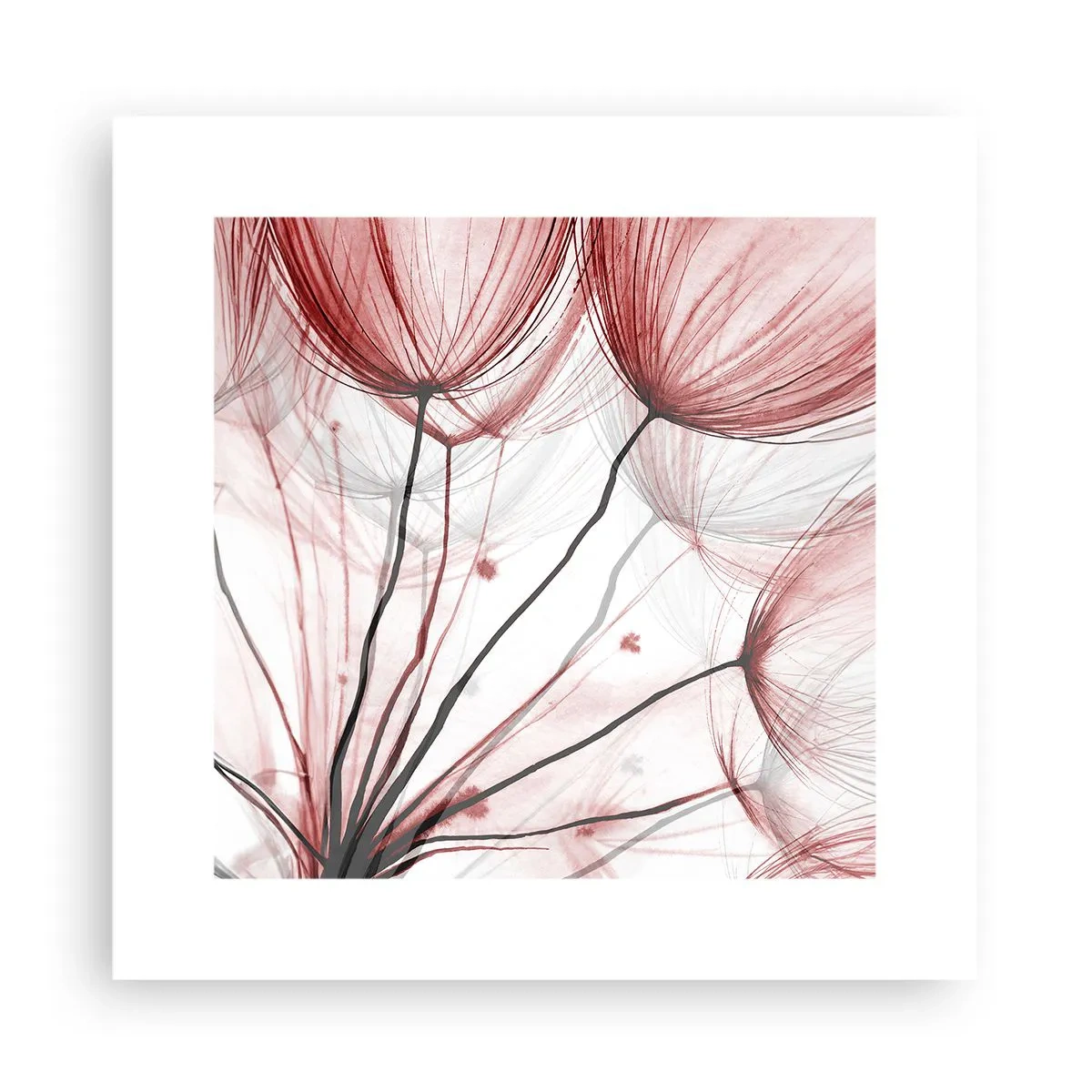 Poster - Prima del decollo - 30x30 cm
