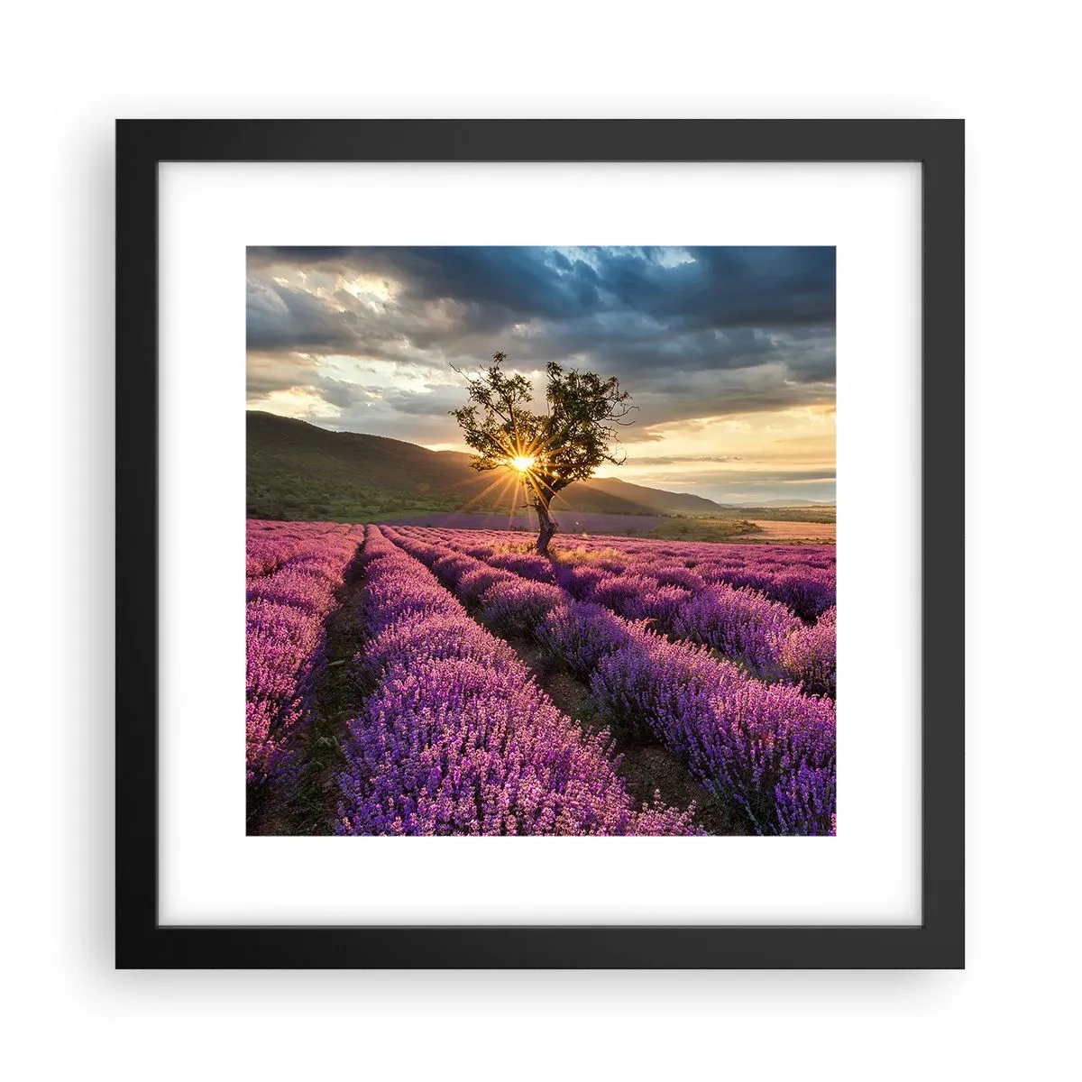 Poster in cornice nera - Aroma di colore lilla - 30x30 cm
