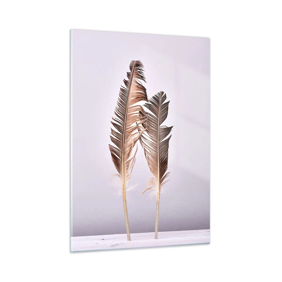 Quadro su vetro - Due piume delicate su uno sfondo chiaro - 50x70cm - Contro il nulla - Decorazione murale moderna per soggiorno e camera da letto ARTTOR