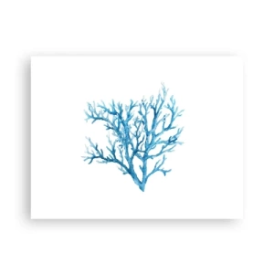 Poster - Filigrana marina - 40x30 cm