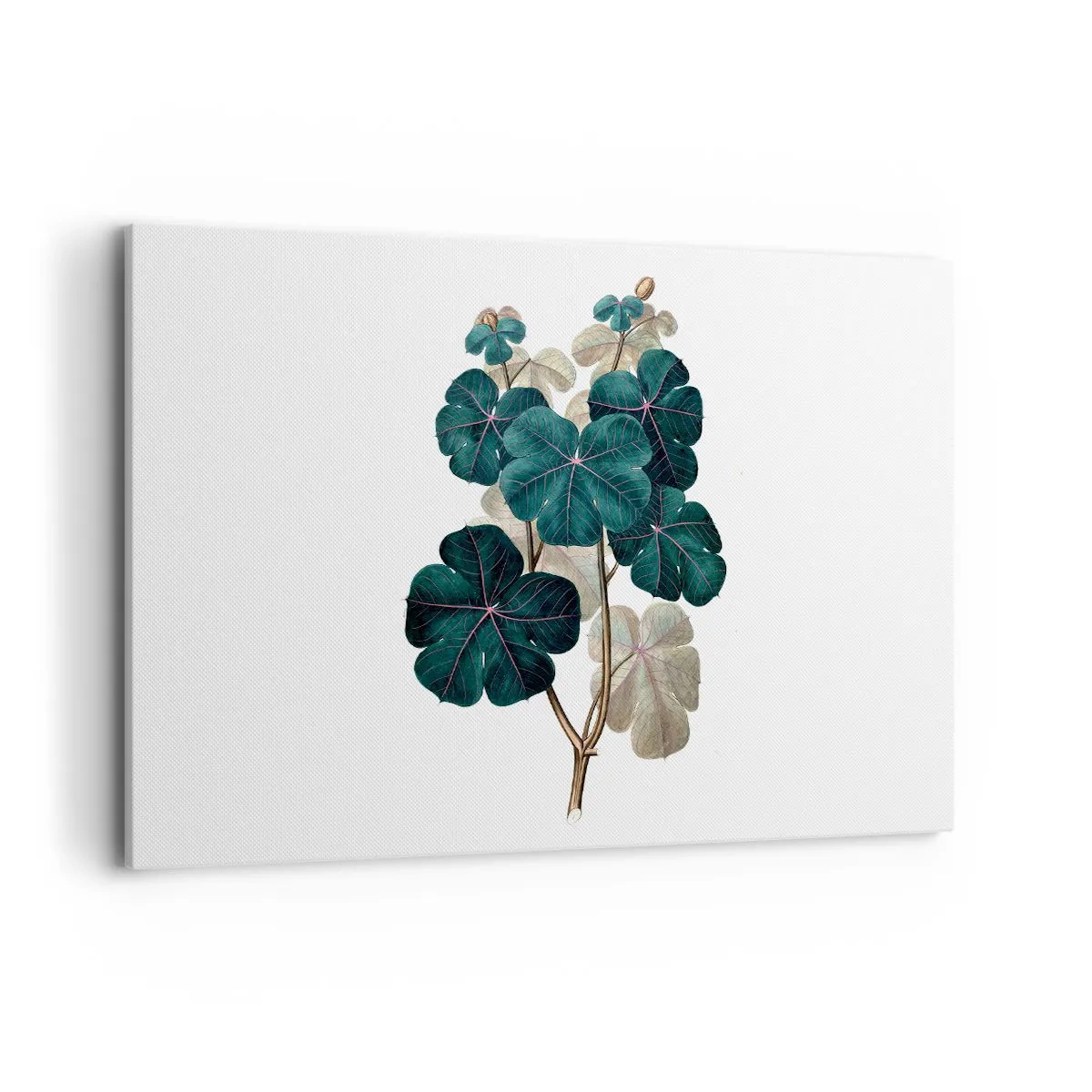 Quadro su tela - Stampe su Tela - Illustrazione botanica con foglie nei toni del verde e del beige - 120x80cm - Dal vecchio erbario - Decorazione murale moderna per soggiorno e camera da letto ARTTOR